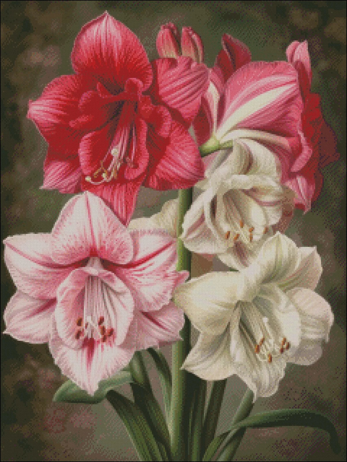 Embroidery Counted Cross Stitch Amaryllis Kit