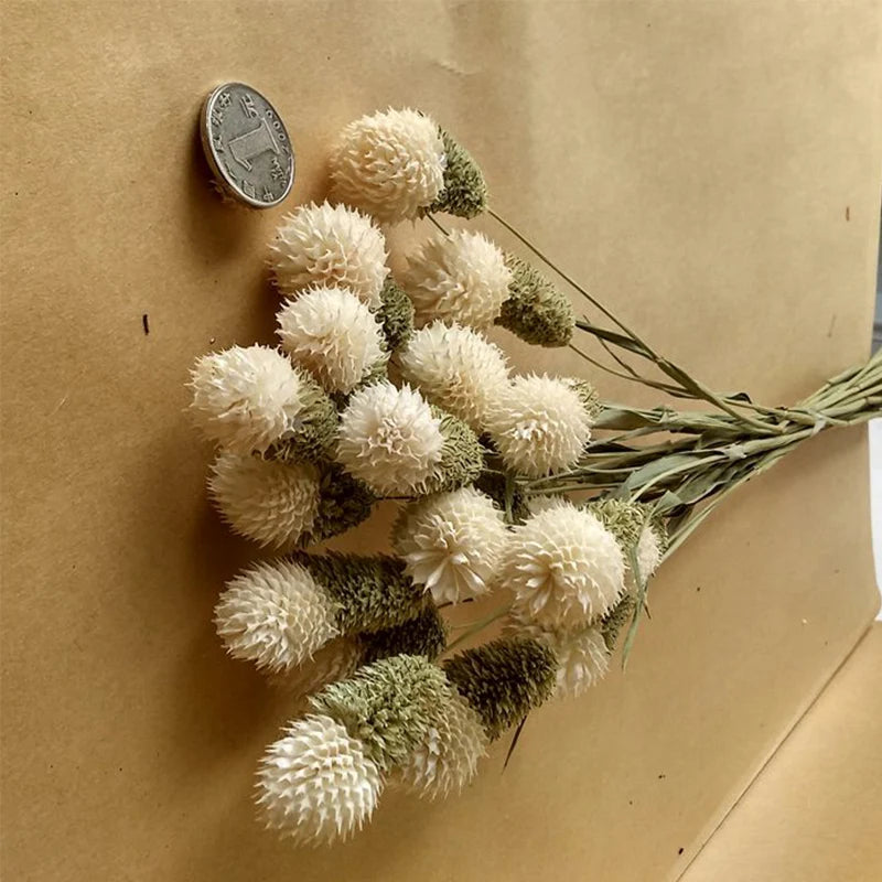 Dry Nature Real Dry Berry Flowers