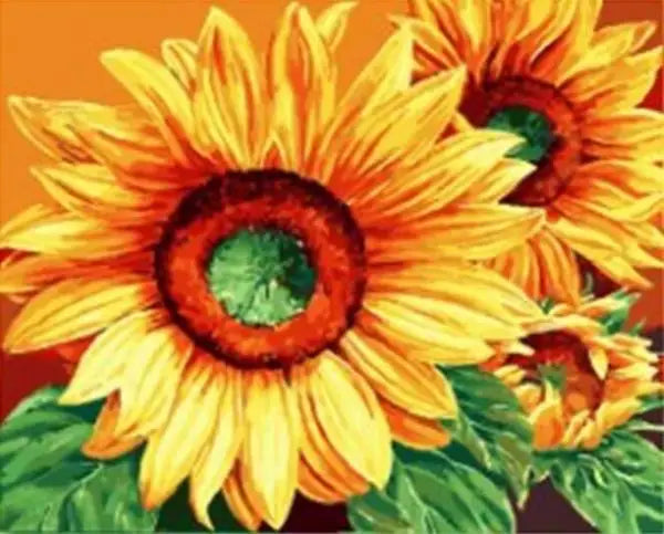 Painting By Numbers Sunflowers Kit