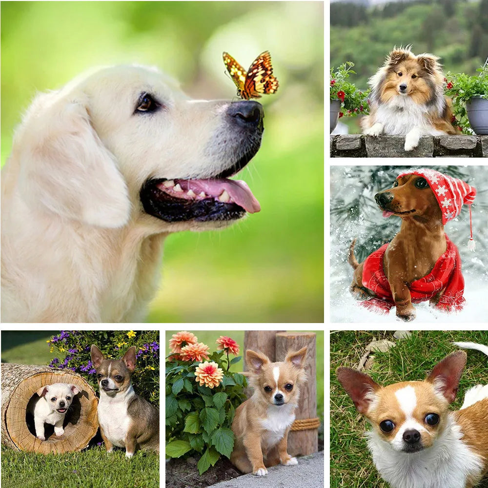 Embroidery Dog Cross Stitch Kits