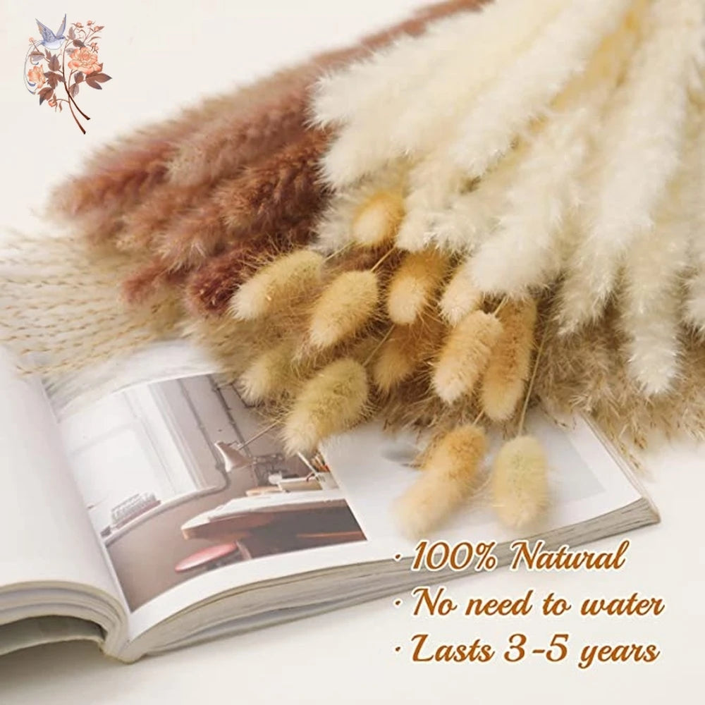 Natural Pampas Dried Flowers