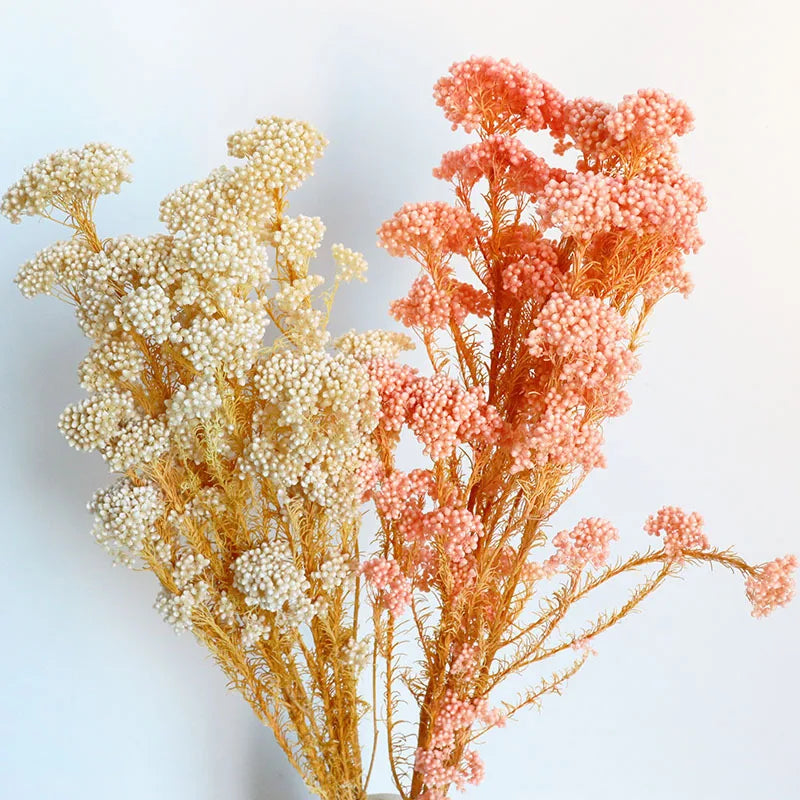 Natural Dried Flowers Millet Flowers