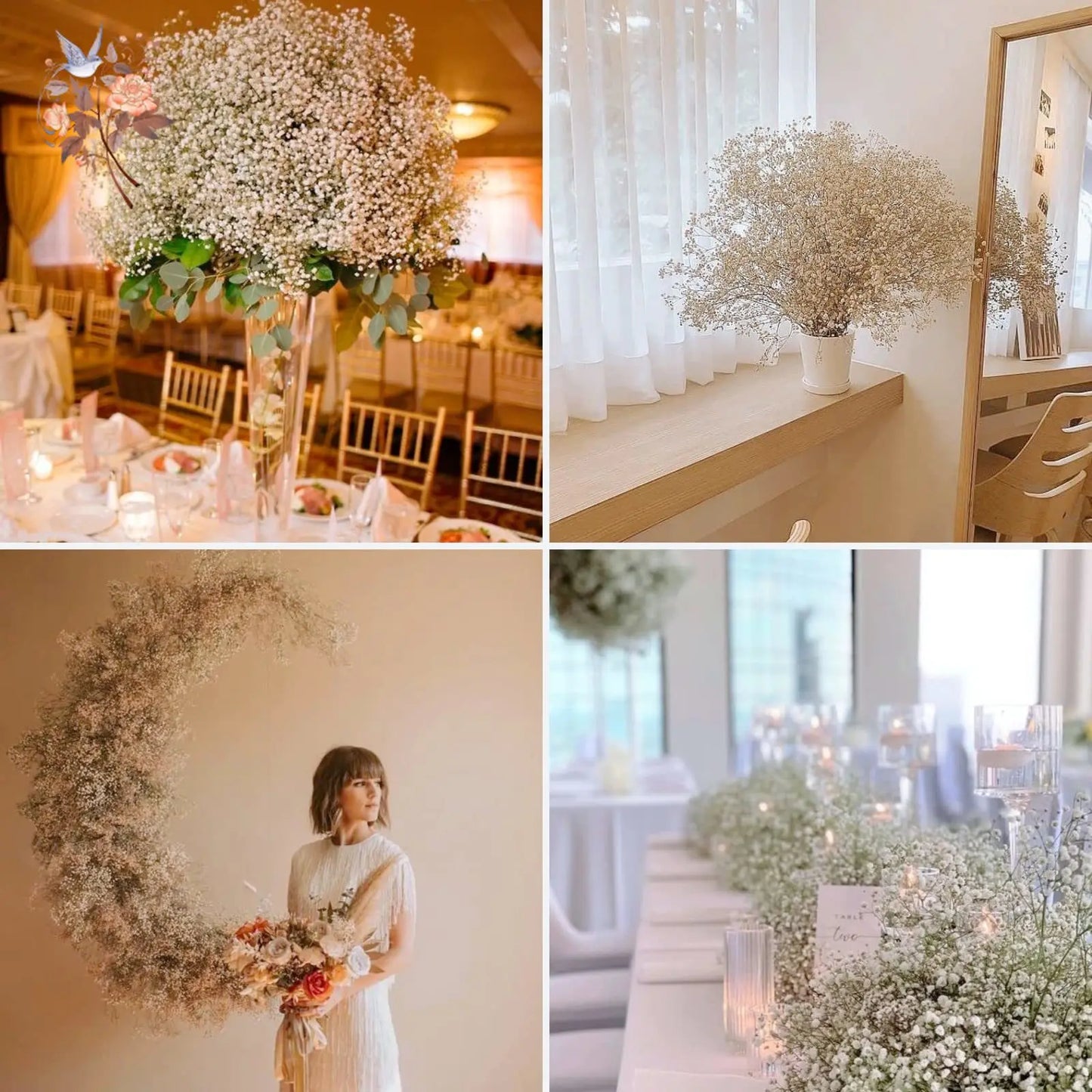 Dried Baby Breath Natural Dry Flowers