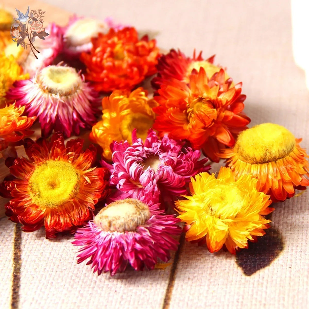 Daisy Dried Natural Sunflower Chrysanthemum Heads