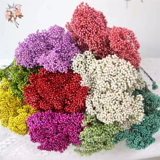 Natural Dried Eternal Rice Flowers