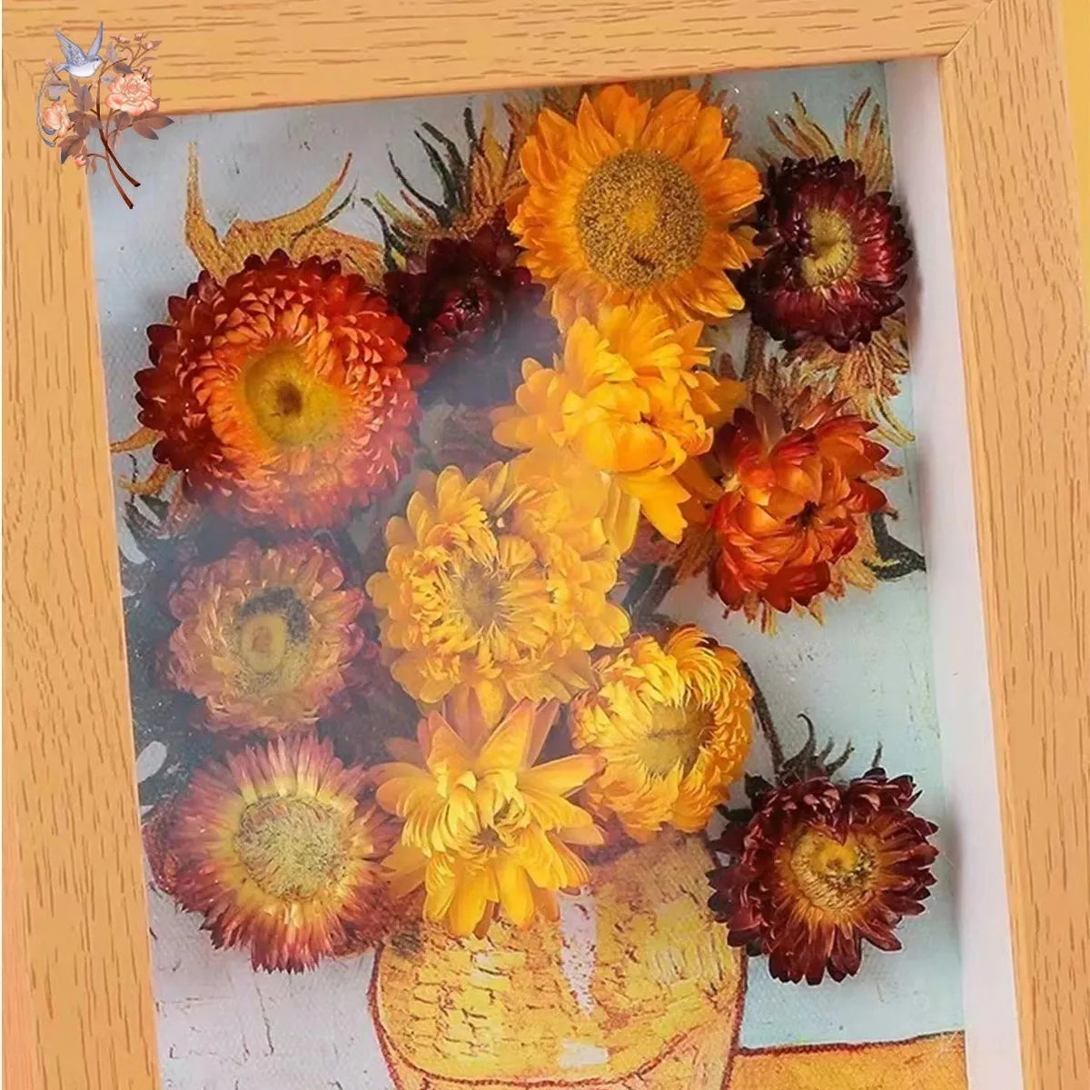 Daisy Dried Natural Sunflower Chrysanthemum Heads