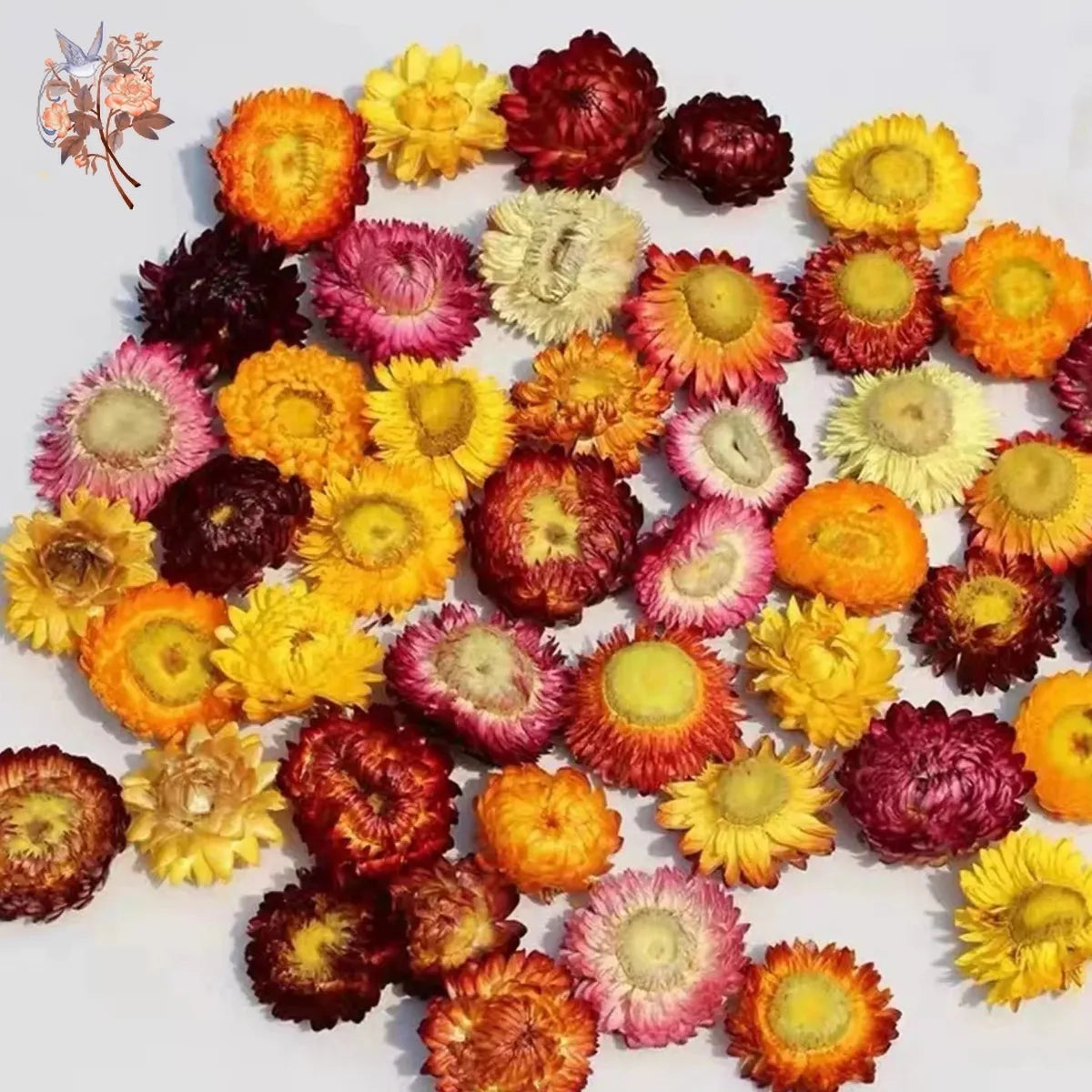 Daisy Dried Natural Sunflower Chrysanthemum Heads