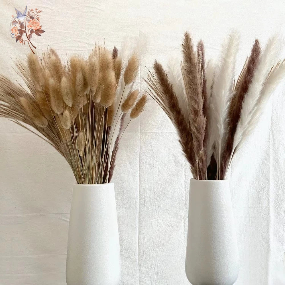 Natural Pampas Dried Flowers