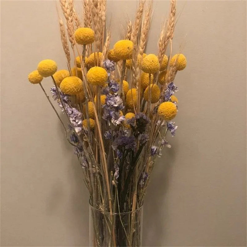 Dried Preserved Natural Billy Balls Arrangement