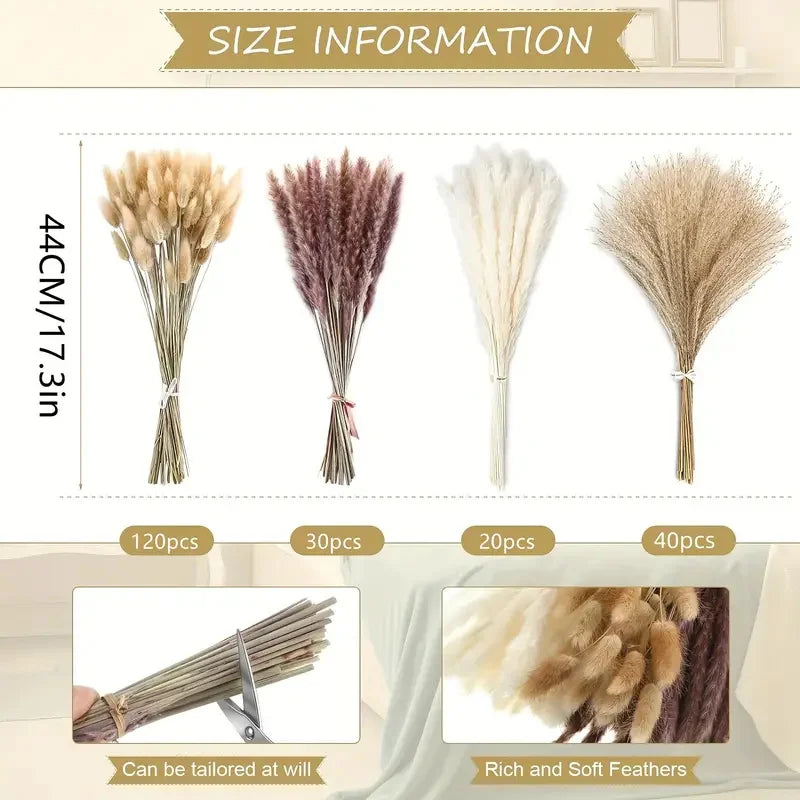 210Pcs Pampas Bunny Tail Grass Natural Dried Flowers