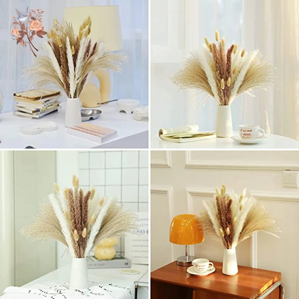 Natural Pampas Dried Flowers