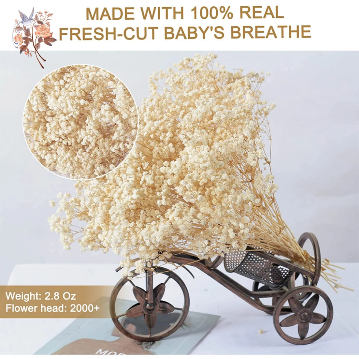 Dried Baby Breath Natural Dry Flowers