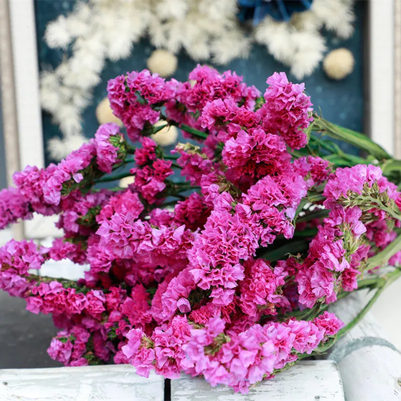 Natural Forget Me Not Real Dried Flowers