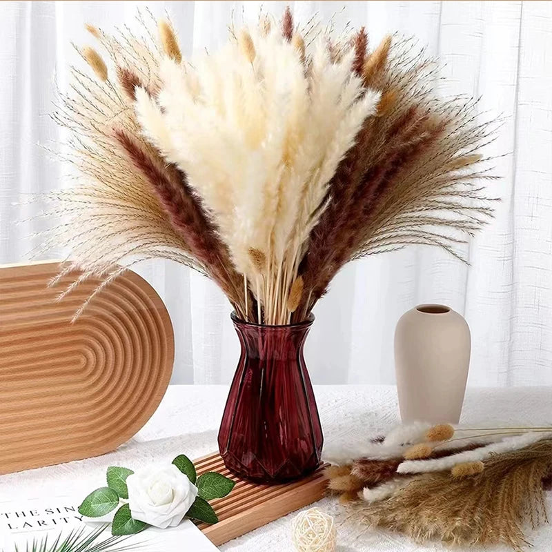 210Pcs Pampas Bunny Tail Grass Natural Dried Flowers