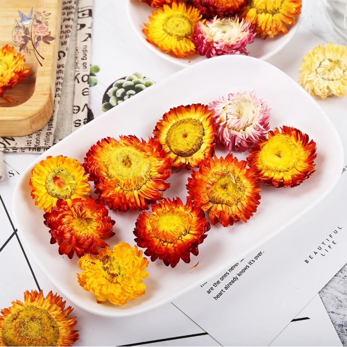 Daisy Dried Natural Sunflower Chrysanthemum Heads