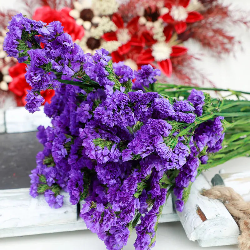 Natural Forget Me Not Real Dried Flowers