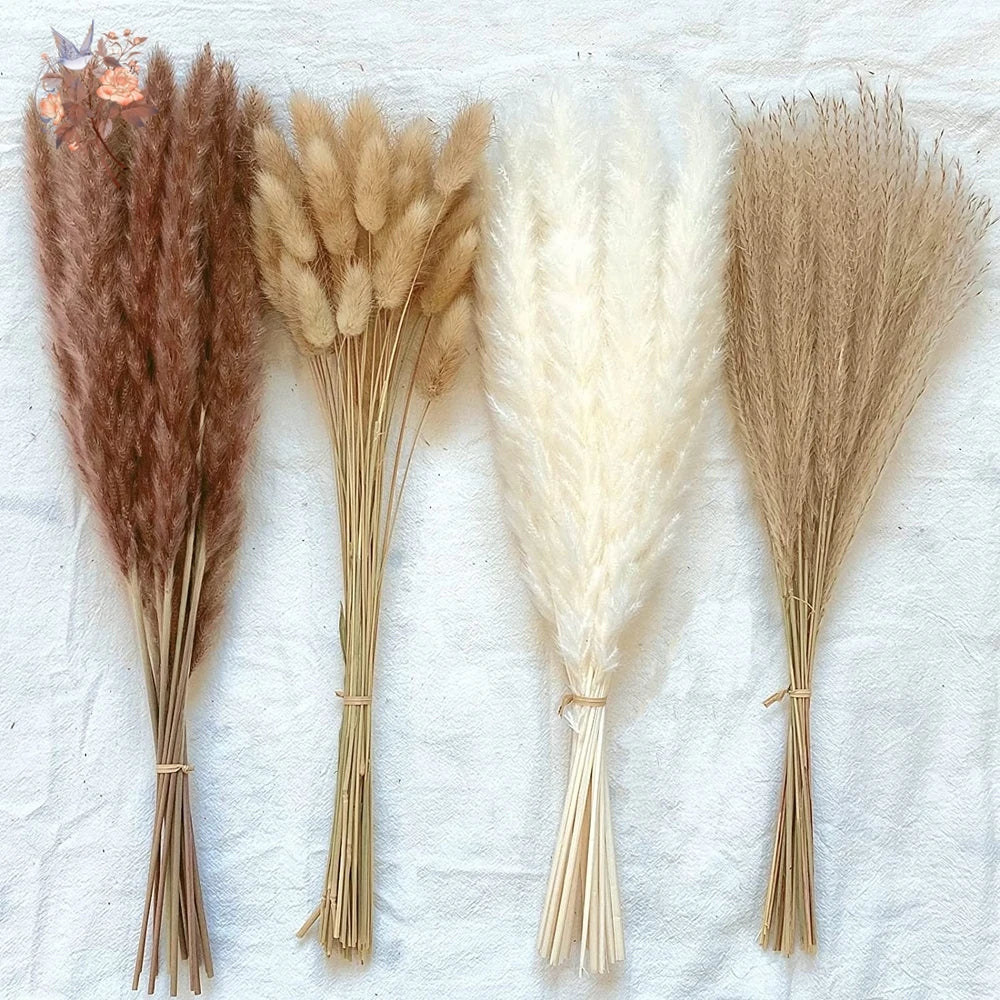 Natural Pampas Dried Flowers