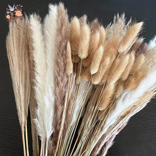 Natural Pampas Dried Flowers